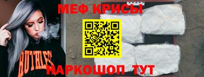 спайс Кингисепп