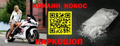 спайс Кингисепп