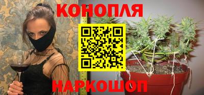 спайс Кингисепп