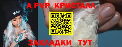 спайс Кингисепп